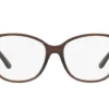 Ralph Lauren  RL6222 Shiny Transparent Brick Red Frame