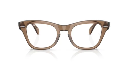 8198 - Transparent Light Brown frame / Clear lenses