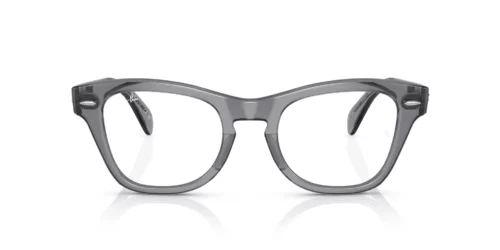 8199 - Transparent Grey frame / Clear lenses