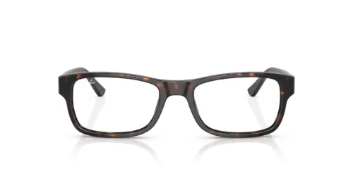 2012 - Havana frame / Clear lenses
