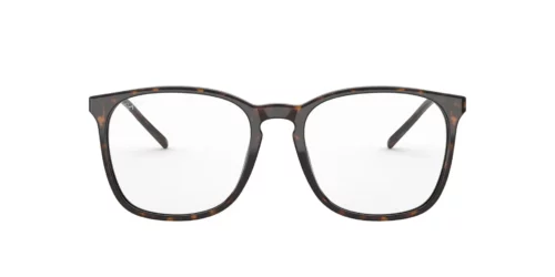2012 - Havana frame / Clear lenses