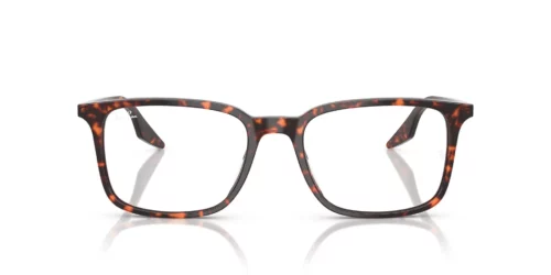 8423 - Havana Red Tortoiseshell frame / Clear lenses