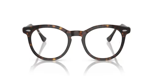 2012 - Havana frame / Clear lenses