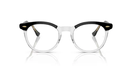 2034 - Black On Transparent frame / Clear lenses