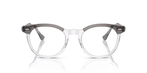 Ray-Ban RX-5598 Grey On Transparent