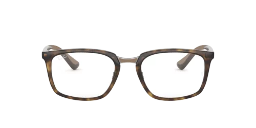 2012 - Dark Havana frame / Clear lenses