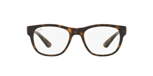 2012 - Havana frame / Clear lenses