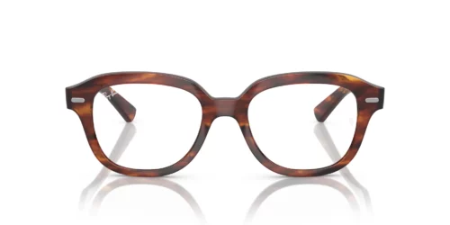 2144 - Striped Havana frame / Clear lenses