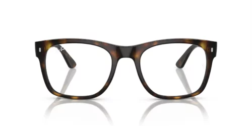 2012 - Havana frame / Clear lenses