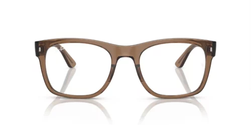 8198 - Transparent Light Brown frame / Clear lenses