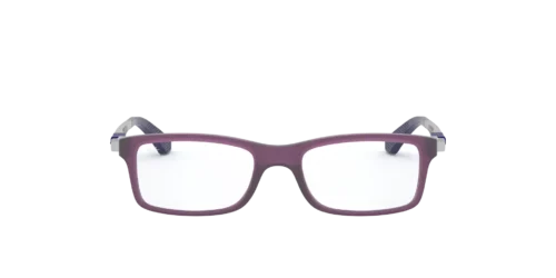 3790 - Matte Violet frame / Clear lenses