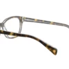 Ray-Ban Kids RY-1591 Havana On Transparent