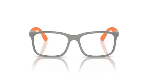 3930 - Grey On Orange frame / Clear lenses