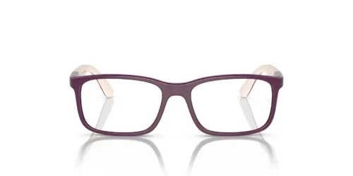 3931 - Purple On Light Brown frame / Clear lenses