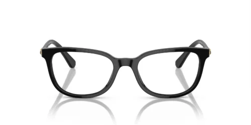 1001 - Black frame / Clear lenses