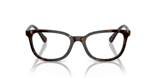 1002 - Havana frame / Clear lenses