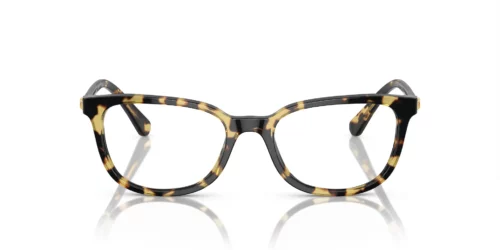 1009 - Havana frame / Clear lenses