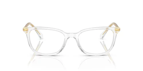 1027 - Crystal frame / Clear lenses