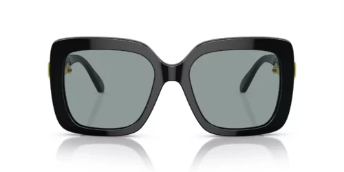 1001/1 - Armação preta / Lentes cinza-escuras