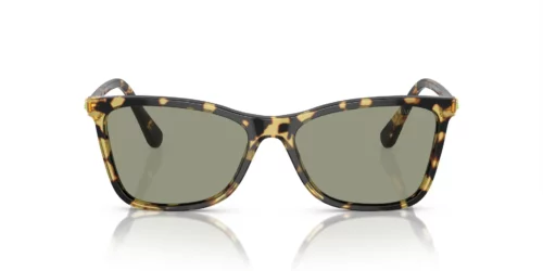1009/2 - Havana frame / DARK GREEN lenses