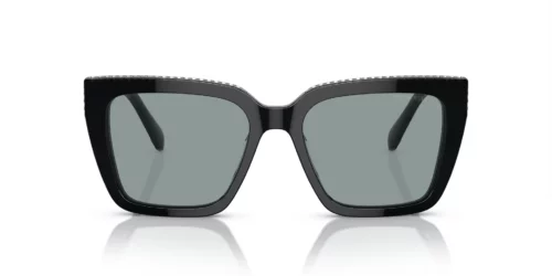 1010/1 - Armação preta / Lentes cinza-escuras
