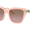 Swarovski  SK6041 Tonad brun Tonad rosa