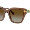 Swarovski  SK6041 Gradient Bruin Polar