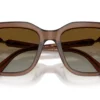 Swarovski  SK6041 Gradient Bruin Polar