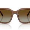 Swarovski  SK6041 Gradient Bruin Polar