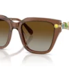 Swarovski  SK6041 Gradient Bruin Polar