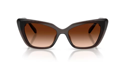 108474 - Transparent Brown frame / Brown Gradient lenses