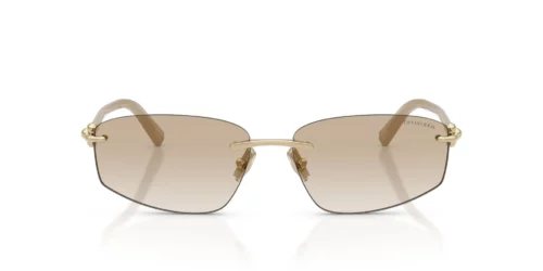 Tiffany  TF3114 Neutral Gradient Light Grey