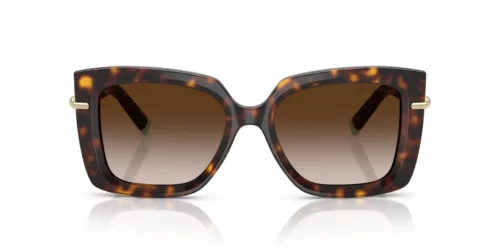 80153B - Havana frame / Brown Gradient lenses