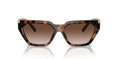 80153B - Havana frame / Brown Gradient lenses