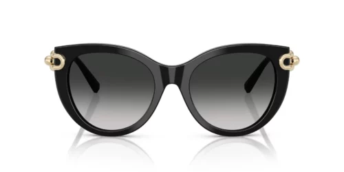 Tiffany  TF4232 Gray Gradient