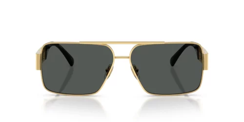 100287 - Gold frame / DARK GREY lenses
