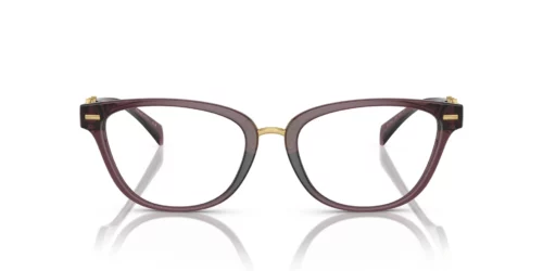 Versace VE-3336U Transparent Violet