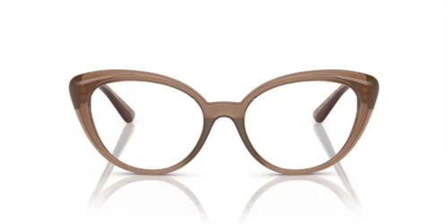 5427 - Brown Transparent frame / Clear lenses