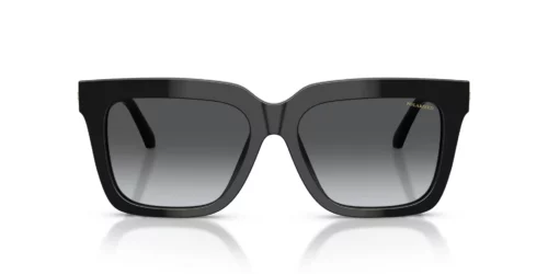 GB1/T3 - Black frame / Dark Grey Gradient Polar lenses