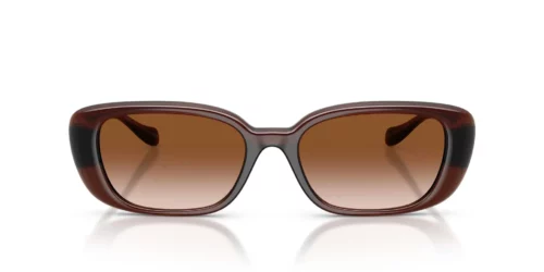 Versace  VE4504D Brown Gradient