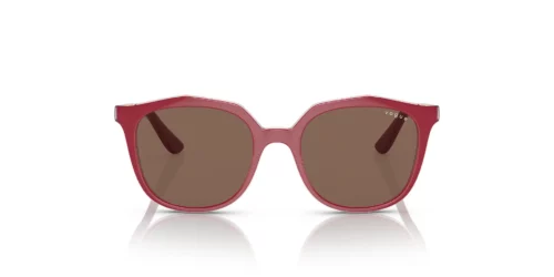 293173 - Transparent Pink/Top Fuchsia frame / Dark Brown lenses