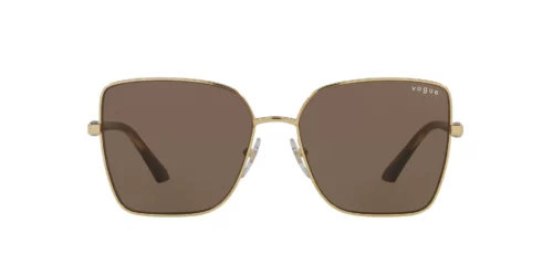 280/73 - Gold frame / Dark Brown lenses