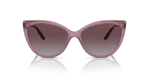 276162 - Armação roxa transparente / Lentes polares cinza degradê violeta