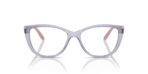 2925 - Transparent Light Violet frame / Clear lenses