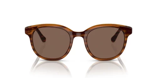 257173 - Striped Brown Havana frame / Dark Brown lenses