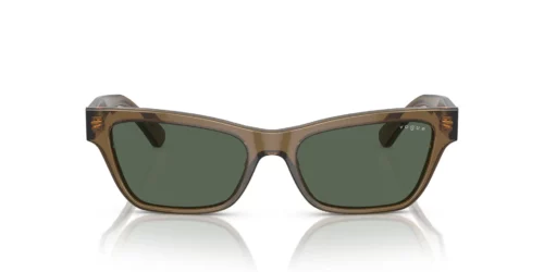304771 - Armação transparente cáqui escuro / Lentes VERDE ESCURAS