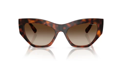 W65613 - Dark Havana frame / Gradient Dark Brown lenses