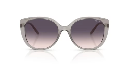 272636 - Armação cinza transparente / Lentes cinza degradê rosa