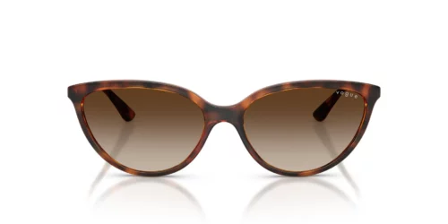W65613 - Dark Havana frame / Gradient Brown lenses