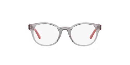2820 - Transparent Grey frame / Clear lenses